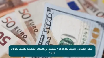 أسعار الصرف.. تحديث يوم الأحد 7 سبتمبر في البنوك المصرية يكشف تحولات جديدة